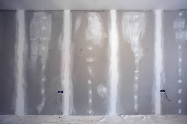 Best Black Mold Removal  in Lakeside, FL
